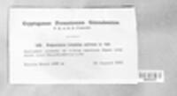 Image Associated With the Occurence